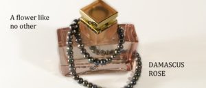 Women's Fragrance